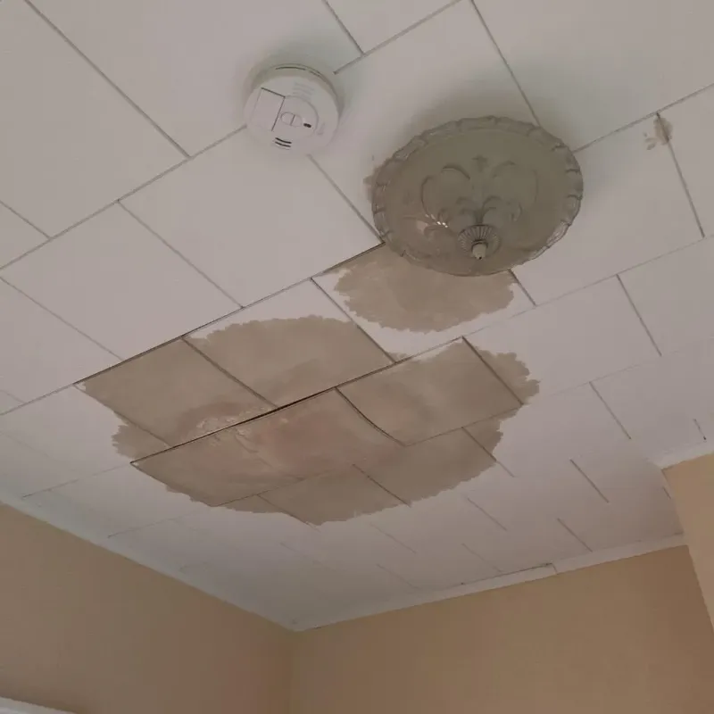 Ceiling Water Damage Repair in North East, PA