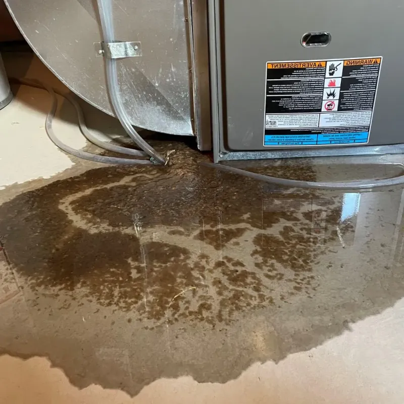 Pipe Burst and Leak Restoration in North East, PA